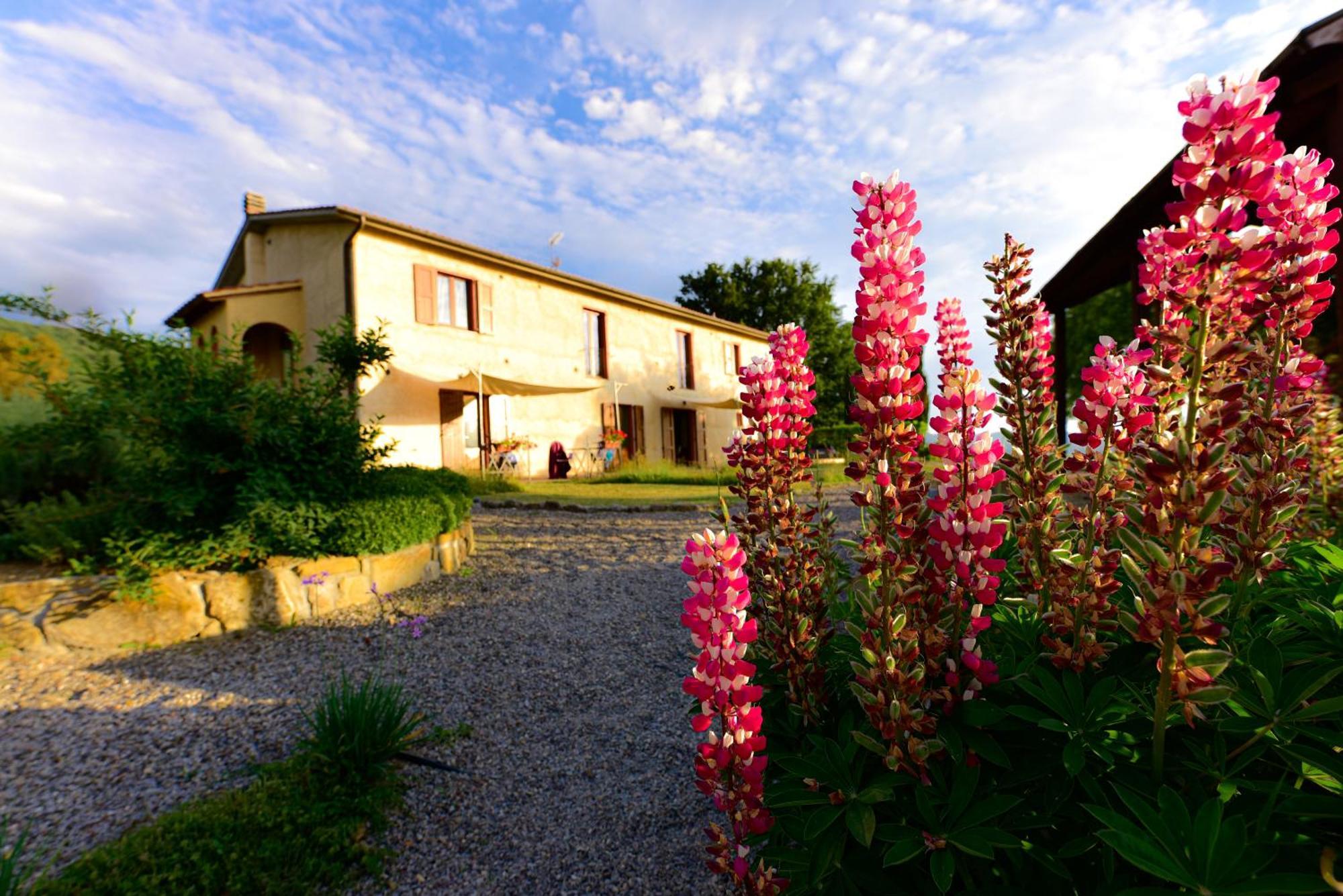 Agriturismo Le Casaline Seggiano Exteriér fotografie