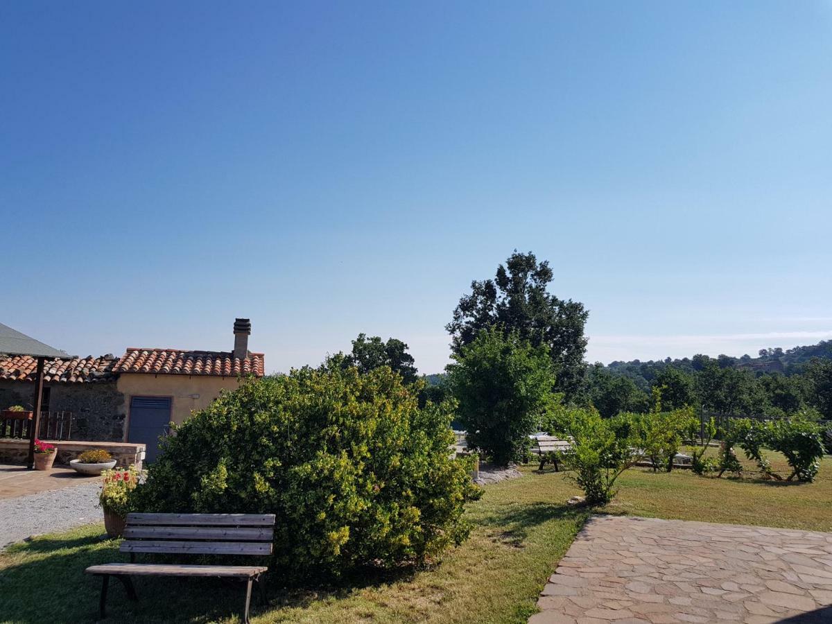Agriturismo Le Casaline Seggiano Exteriér fotografie