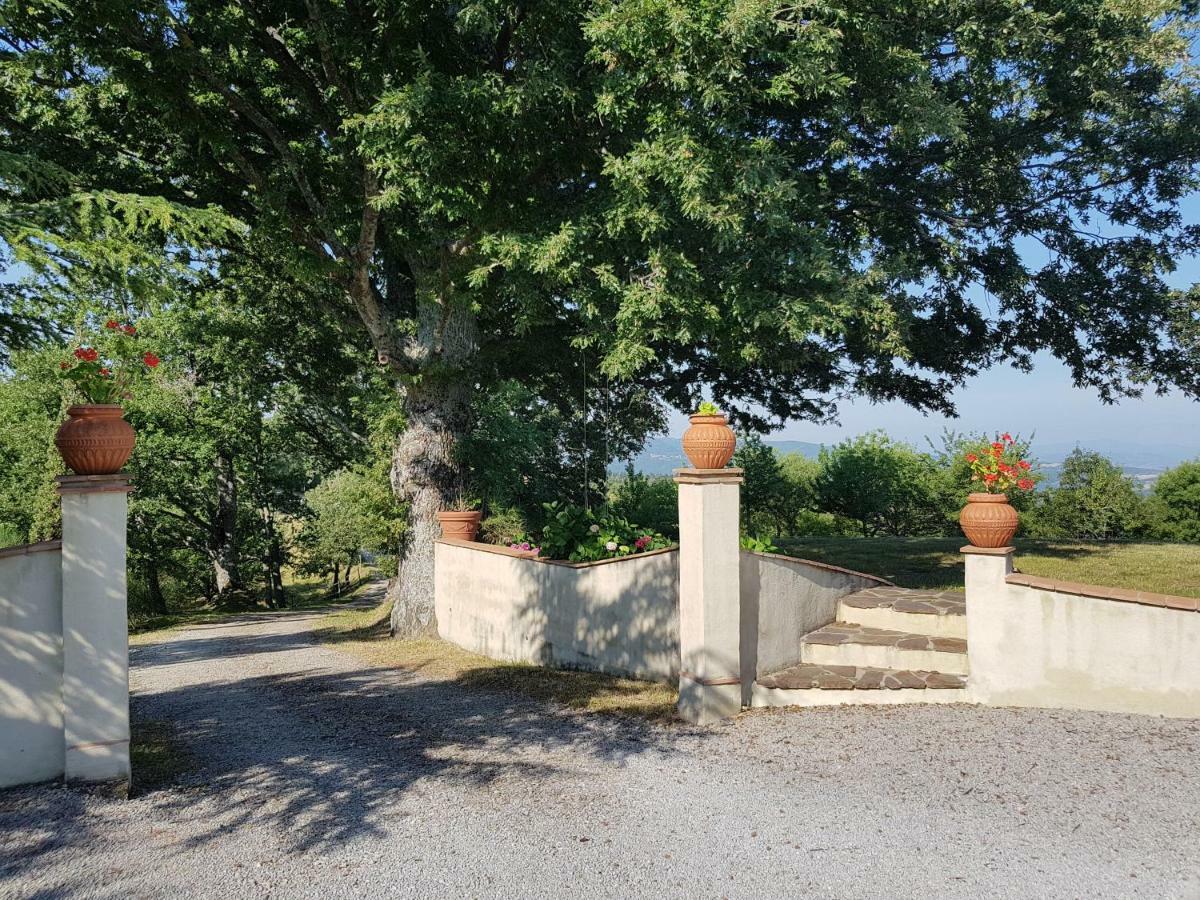 Agriturismo Le Casaline Seggiano Exteriér fotografie