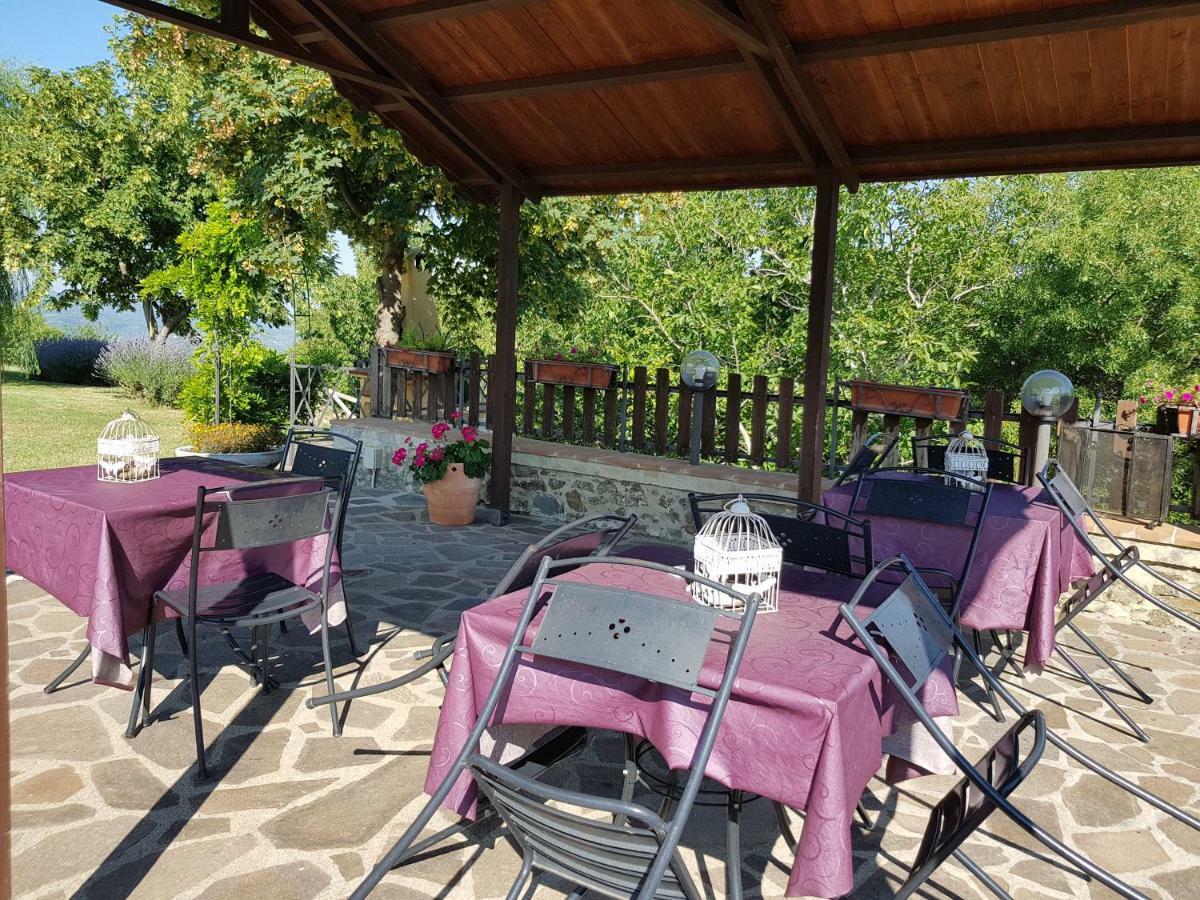 Agriturismo Le Casaline Seggiano Exteriér fotografie