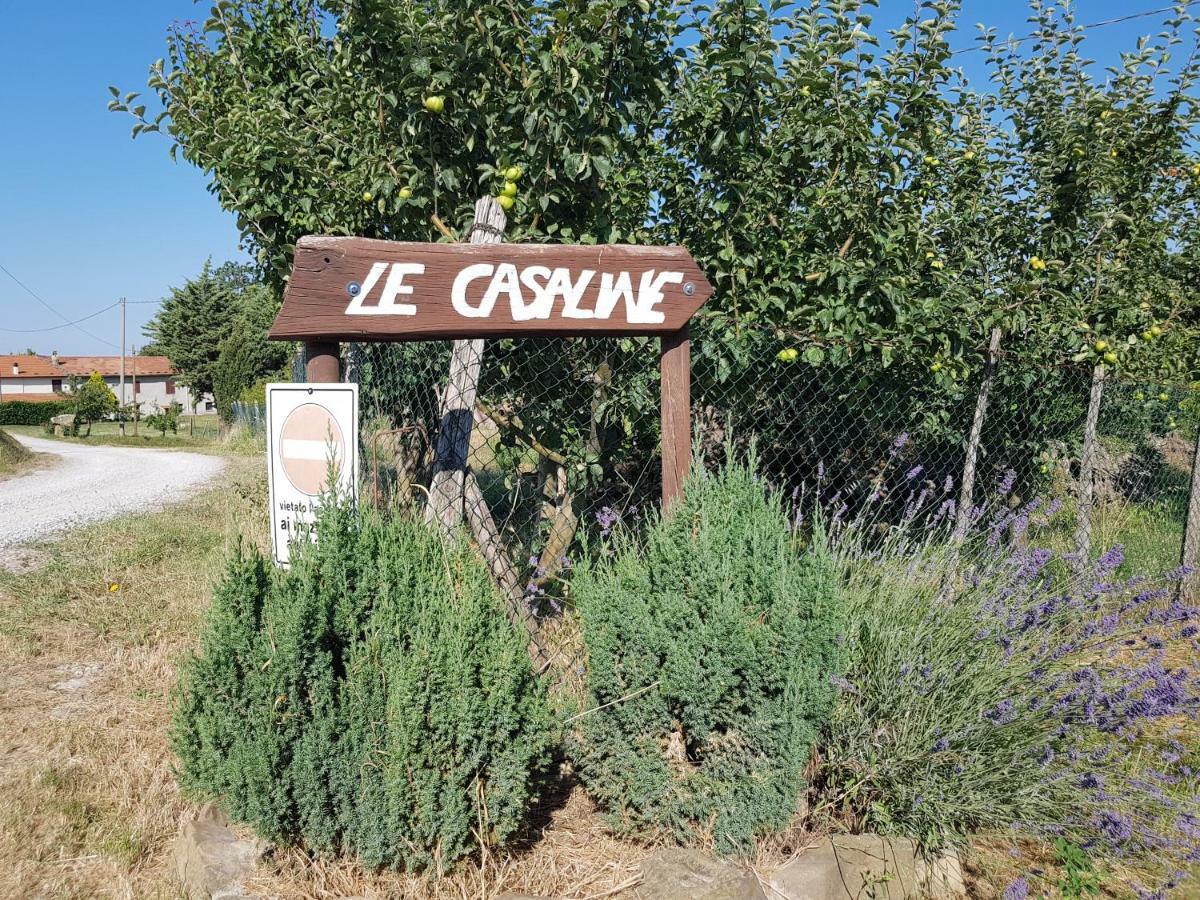 Agriturismo Le Casaline Seggiano Exteriér fotografie